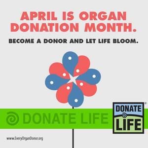 Meet your Posher, Aimee